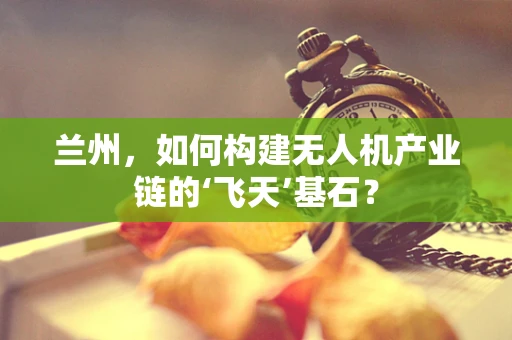 兰州，如何构建无人机产业链的‘飞天’基石？