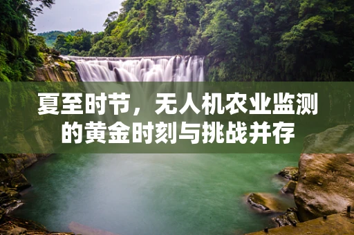 夏至时节，无人机农业监测的黄金时刻与挑战并存