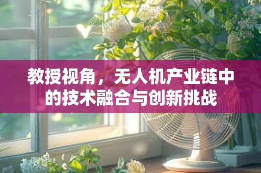 教授视角，无人机产业链中的技术融合与创新挑战