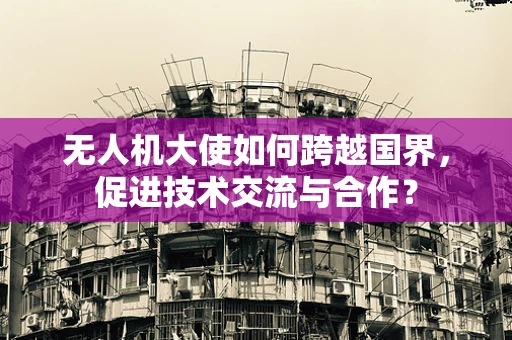 无人机大使如何跨越国界，促进技术交流与合作？