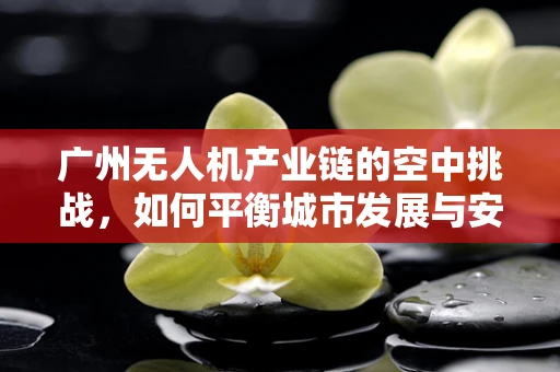广州无人机产业链的空中挑战，如何平衡城市发展与安全监管？