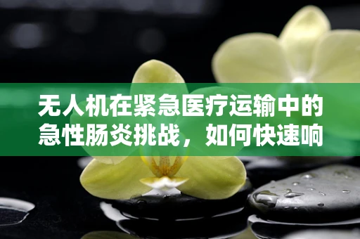 无人机在紧急医疗运输中的急性肠炎挑战，如何快速响应与安全送达？