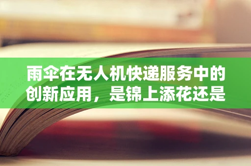 雨伞在无人机快递服务中的创新应用，是锦上添花还是画蛇添足？