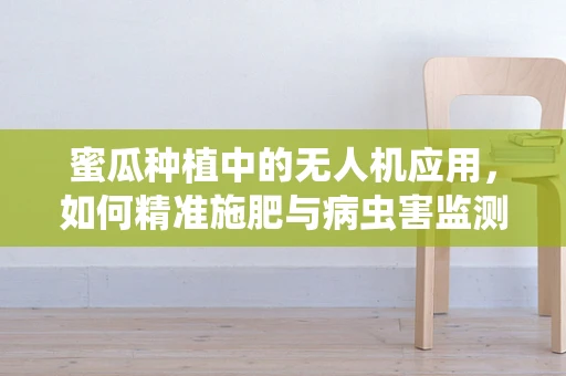 蜜瓜种植中的无人机应用，如何精准施肥与病虫害监测？