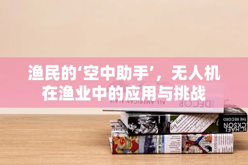 渔民的‘空中助手’，无人机在渔业中的应用与挑战
