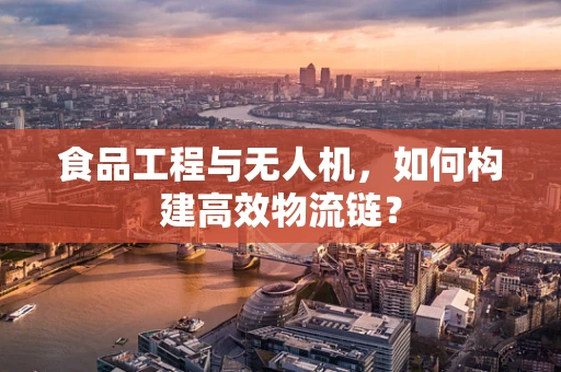 食品工程与无人机，如何构建高效物流链？