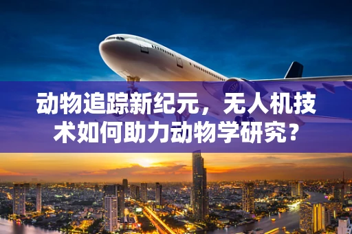 动物追踪新纪元，无人机技术如何助力动物学研究？