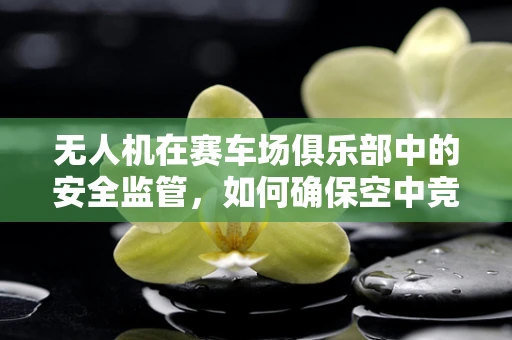 无人机在赛车场俱乐部中的安全监管，如何确保空中竞技的万无一失？