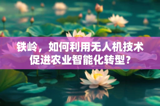 铁岭，如何利用无人机技术促进农业智能化转型？