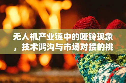 无人机产业链中的哑铃现象，技术鸿沟与市场对接的挑战