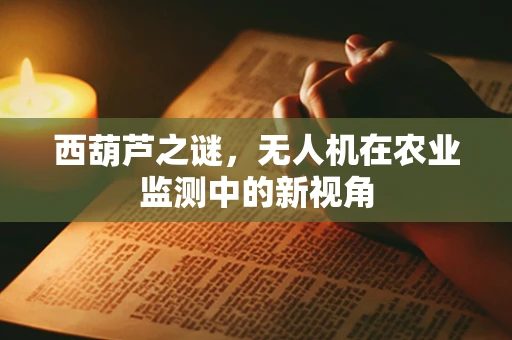 西葫芦之谜，无人机在农业监测中的新视角