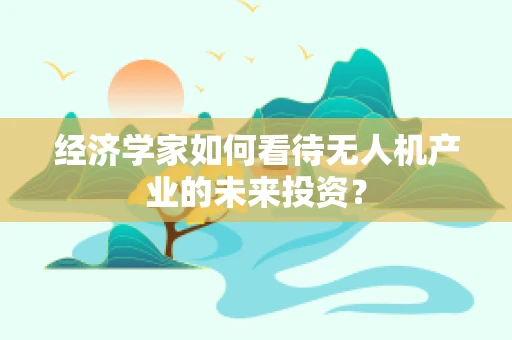 经济学家如何看待无人机产业的未来投资？