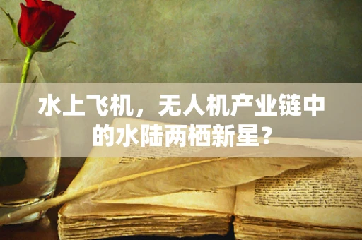 水上飞机，无人机产业链中的水陆两栖新星？
