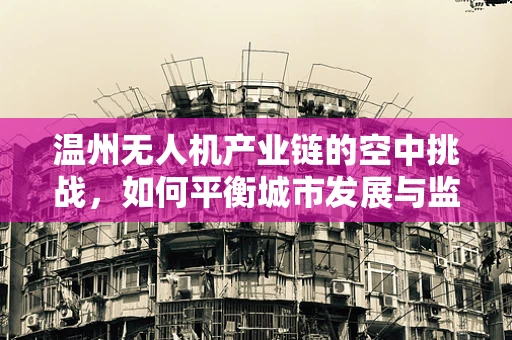 温州无人机产业链的空中挑战，如何平衡城市发展与监管创新？
