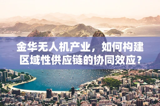 金华无人机产业，如何构建区域性供应链的协同效应？
