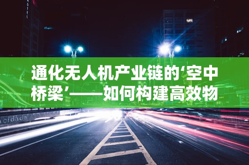 通化无人机产业链的‘空中桥梁’——如何构建高效物流配送网络？