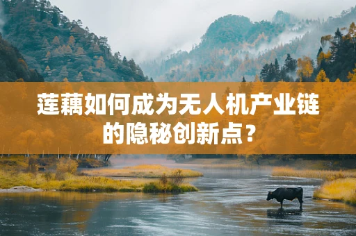 莲藕如何成为无人机产业链的隐秘创新点？