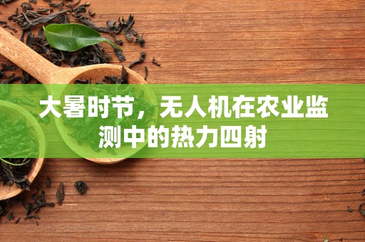 大暑时节，无人机在农业监测中的热力四射