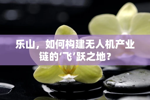 乐山，如何构建无人机产业链的‘飞’跃之地？