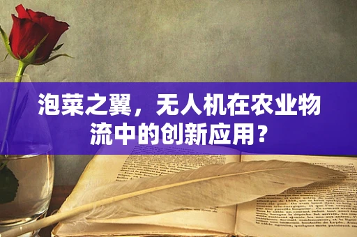 泡菜之翼，无人机在农业物流中的创新应用？