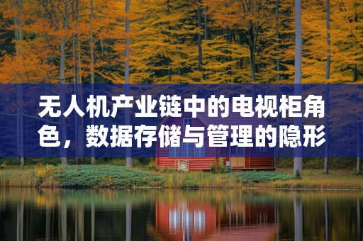 无人机产业链中的电视柜角色，数据存储与管理的隐形守护者？