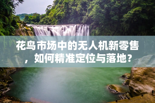 花鸟市场中的无人机新零售，如何精准定位与落地？