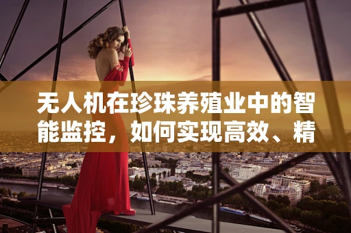 无人机在珍珠养殖业中的智能监控，如何实现高效、精准的监控？