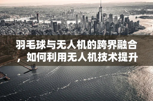 羽毛球与无人机的跨界融合，如何利用无人机技术提升羽毛球训练的效率与精准度？