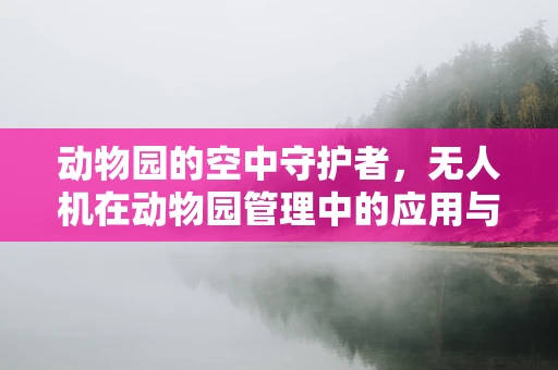 动物园的空中守护者，无人机在动物园管理中的应用与挑战