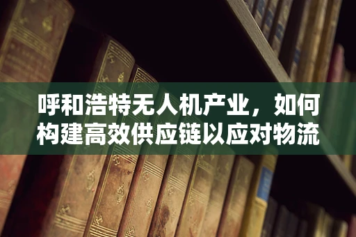 呼和浩特无人机产业，如何构建高效供应链以应对物流挑战？