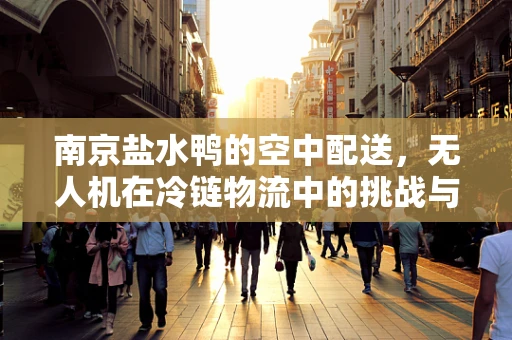 南京盐水鸭的空中配送，无人机在冷链物流中的挑战与机遇？
