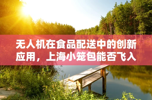 无人机在食品配送中的创新应用，上海小笼包能否飞入寻常百姓家？