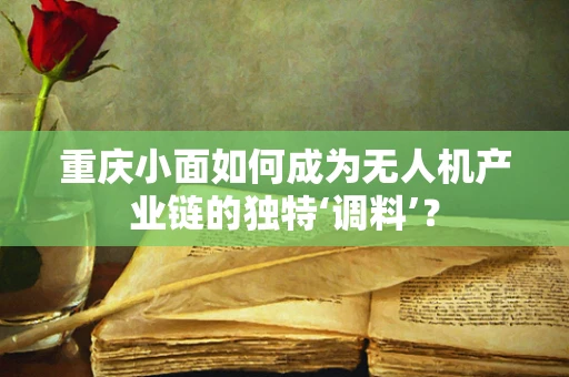 重庆小面如何成为无人机产业链的独特‘调料’？