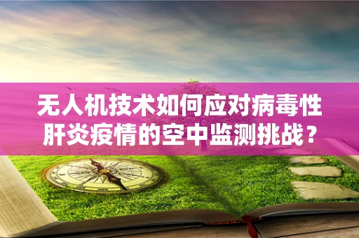 无人机技术如何应对病毒性肝炎疫情的空中监测挑战？