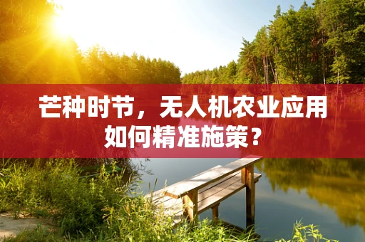 芒种时节，无人机农业应用如何精准施策？