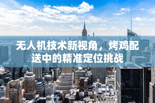 无人机技术新视角，烤鸡配送中的精准定位挑战