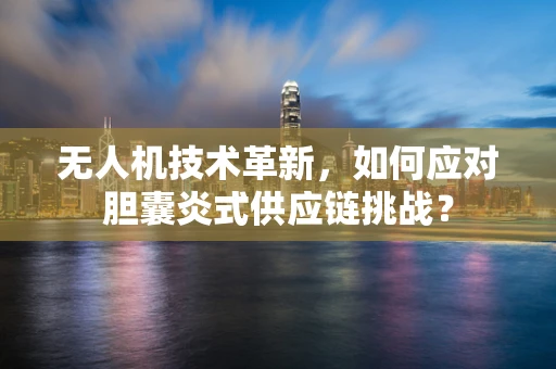 无人机技术革新，如何应对胆囊炎式供应链挑战？