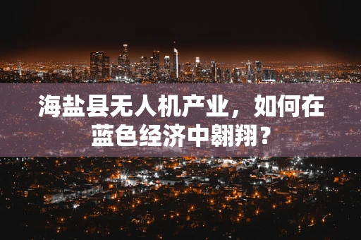 海盐县无人机产业，如何在蓝色经济中翱翔？