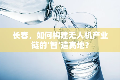 长春，如何构建无人机产业链的‘智’造高地？