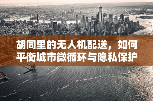 胡同里的无人机配送，如何平衡城市微循环与隐私保护？