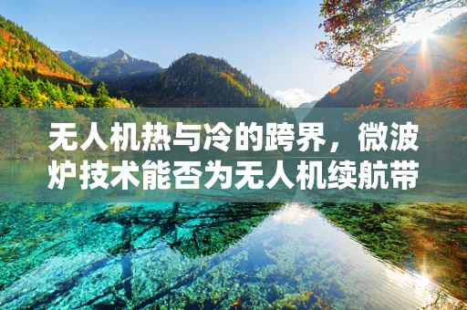 无人机热与冷的跨界，微波炉技术能否为无人机续航带来新突破？