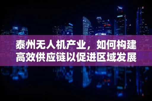 泰州无人机产业，如何构建高效供应链以促进区域发展？