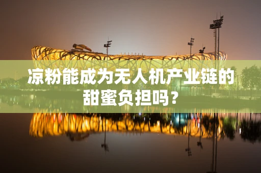 凉粉能成为无人机产业链的甜蜜负担吗？