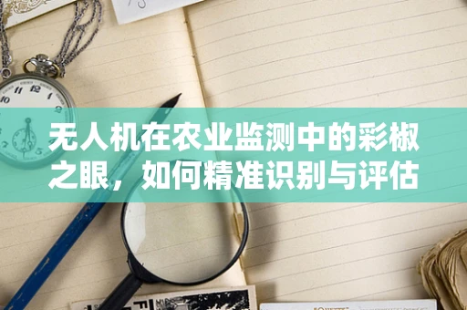 无人机在农业监测中的彩椒之眼，如何精准识别与评估作物健康？