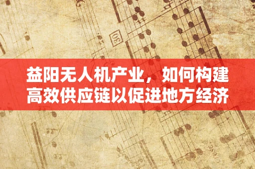 益阳无人机产业，如何构建高效供应链以促进地方经济发展？
