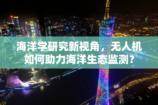 海洋学研究新视角，无人机如何助力海洋生态监测？