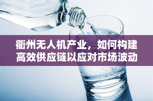 衢州无人机产业，如何构建高效供应链以应对市场波动？