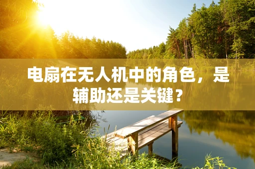 电扇在无人机中的角色，是辅助还是关键？