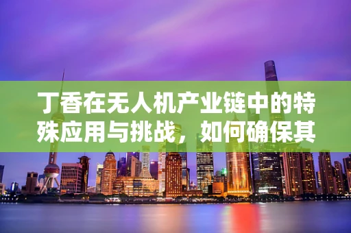 丁香在无人机产业链中的特殊应用与挑战，如何确保其作为导航标志的精准识别？