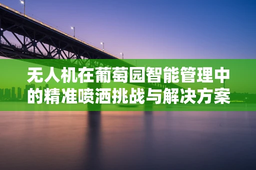 无人机在葡萄园智能管理中的精准喷洒挑战与解决方案
